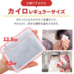 カイロ 貼らない 貼らないカイロ レギュラー ...の詳細画像3
