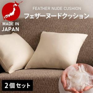 抗菌防臭加工無料 50×50cm フェザー100％ ヌードクッション 綿100