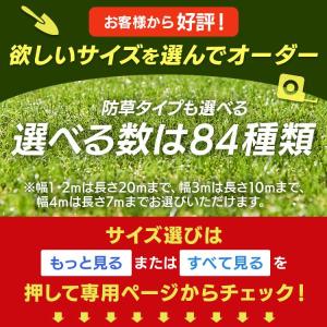 エントリーで+P5%還元♪ リアル人工芝 2m...の詳細画像1