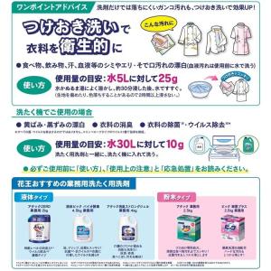 ワイドハイター ワイドハイターex 酸素系漂白...の詳細画像3