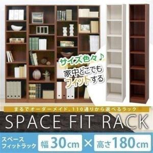 家具 収納家具 棚、シェルフ　アイリスオーヤマ IRIS OHYAMA（アイリスオーヤマ） 収納ボックス カラーボックス