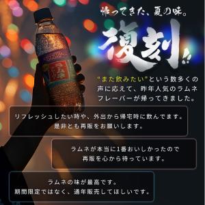炭酸水 500ml 48本 強炭酸水 アイリス...の詳細画像4
