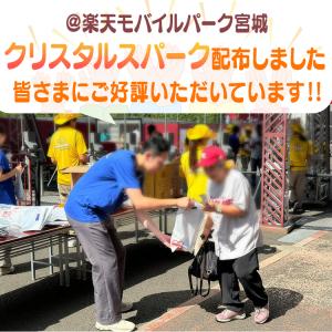 炭酸水 500ml 48本 強炭酸水 アイリス...の詳細画像1