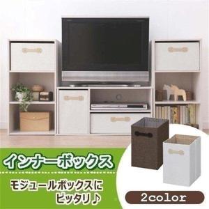 インナーボックス FIB-M22 アイリスオーヤマ カラーボックス用｜sofort