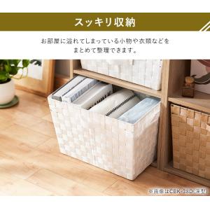 収納ケース インナーボックス カラーボックス ...の詳細画像4