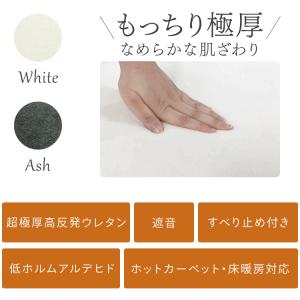 エントリーで+P5%還元♪ ラグ カーペット ...の詳細画像1