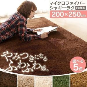 ラグ カーペット ラグマット 洗える ホットカーペット対応 おしゃれ 200×250 防ダニ リビング シャギーラグ マイクロファイバー  57074305 冬用
