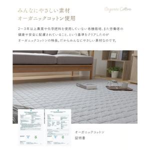 ラグ カーペット ラグマット 3畳 洗える 北...の詳細画像3