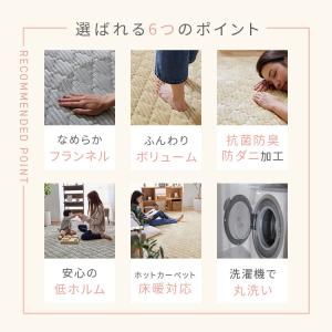 ラグ カーペット ラグマット 3畳 190×2...の詳細画像4