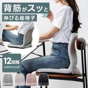 姿勢サポートチェア 背筋 椅子 リクライニング 12段階 軽量 座椅子 デスクワーク グッズ クッション クリアグローブ トケア CG-BBZP-97 *