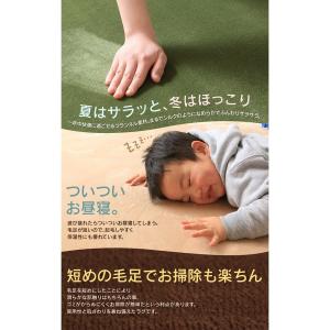 エントリーで+P5%還元♪ ラグマット 円形 ...の詳細画像4