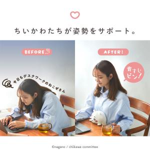 ふんばるず ちいかわ ハチワレ うさぎ chi...の詳細画像2