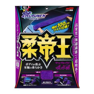 99工房 ソフト99 99工房モドシ隊 超鏡面精密研磨セット soft99