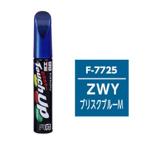 99工房 【ネコポス】ソフト99 タッチアップペン（筆塗り塗料） T-13