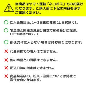 【ゆうパケット】ソフト99 メガネのシャンプー...の詳細画像1