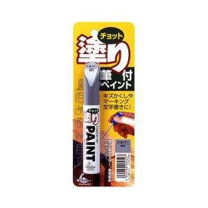 ソフト99 【ネコポス】ソフト99 チョット塗りペイント つや消し