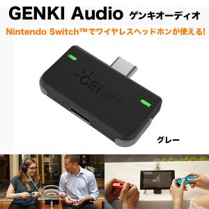 Human Things ヒューマンシングス HTGA-GRAY GENKI Audio ゲンキオーディオ グレー Nintendo Switch ニンテンドースイッチ オーディオアダプター