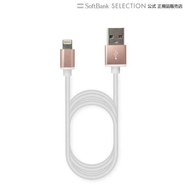 カシムラ KL-50 USB充電&amp;同期ケーブル 1.2m 2.4A LN RG-AL