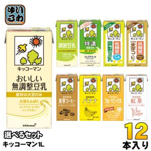 ネスカフェ ゴールドブレンド エコ＆システムパック コク深め 95g×12