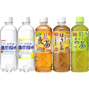 サンガリア 伊賀の天然水 強炭酸水 あなたのお...の詳細画像1