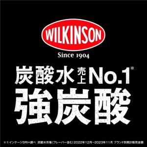 ウィルキンソン タンサン 500ml ペットボ...の詳細画像2
