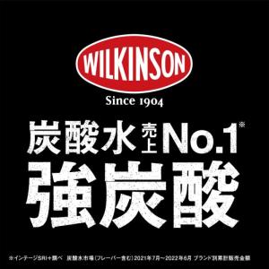 ウィルキンソン タンサン エクストラ 490m...の詳細画像3