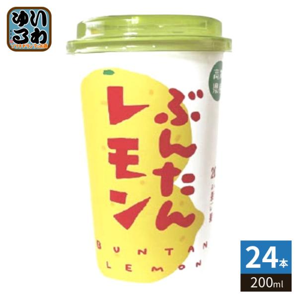 高知アイス ぶんたんレモン 200ml カップ 24本 (12本入×2 まとめ買い) 果汁飲料 文旦...