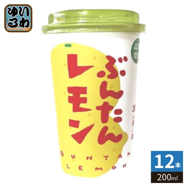 高知アイス ぶんたんレモン 200ml カップ 12本入 果汁飲料 文旦 檸檬