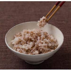 アイズ 国産もち麦ごはん 160g 72個 (...の詳細画像2
