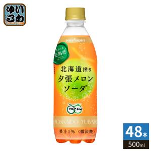 pokka sapporo（ポッカサッポロ） 北海道搾り 夕張メロン ソーダ 500ml