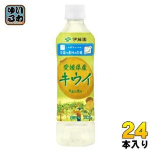 伊藤園 ニッポンエール愛媛県産キウイ 500g ペットボトル 24本入