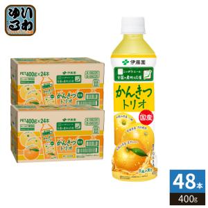 伊藤園（ITO EN） ニッポンエール 国産かんきつトリオ 400g ペット