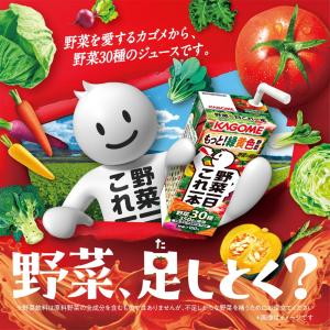 カゴメ 野菜一日これ一本 200ml 紙パック...の詳細画像2