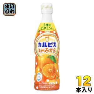 カルピス24本　完熟白桃12本と甘熟いちご12本