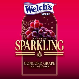 アサヒ Welchs ウェルチ スパークリング...の詳細画像2