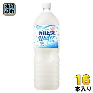 カルピス カルピスソーダ 至福の時間オレンジ 500ml×24本×2ケース（48