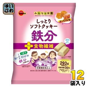 ブルボン しっとりソフトクッキー鉄分 キャラメル味 293g 12袋 栄養機能食品｜softdrink