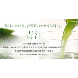 サンスター 健康道場 青汁 160g 缶 90...の詳細画像3