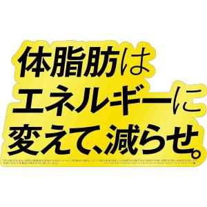 サントリー 緑茶 伊右衛門 特茶 s 2L ペ...の詳細画像2