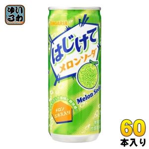 サンガリア はじけてメロンソーダ ( 250g*30本入 ) : 爽快ドリンク専門