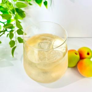 ダイドー 梅よろし 280ml ペットボトル ...の詳細画像2