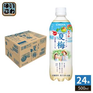 ソルマック 大鵬薬品 ソルマック5 50ml 瓶 96本 (48本入×2 まとめ買い