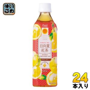 サンA 日向夏紅茶 500ml ペットボトル 24本入 紅茶飲料｜softdrink