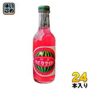 友桝飲料 熊本すいかサイダー 245ml 瓶 24本入