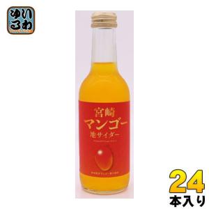友桝飲料 宮崎マンゴーサイダー 245ml 瓶 24本入