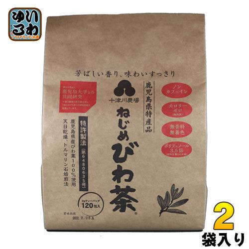 十津川農場 ねじめびわ茶 ティーバッグ 2g×120バック 2袋 (1袋入×2 まとめ買い)