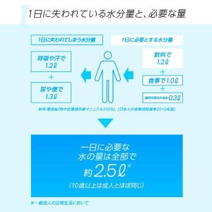 コカ・コーラ アクエリアス 48g (1L用 ...の詳細画像3