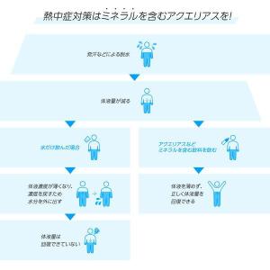 コカ・コーラ アクエリアス 48g (1L用 ...の詳細画像4