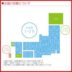 コカ・コーラ アクエリアス ビタミン 51g ...の詳細画像4