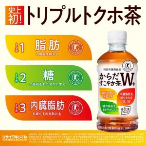 〔ポイント10%対象!〕 コカ・コーラ からだ...の詳細画像2